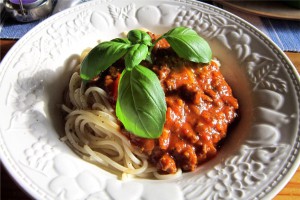 Bolognese3-closeup