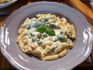 pasta_mozzarellaspenatsas